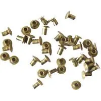 Boite de rivets laiton 4x16