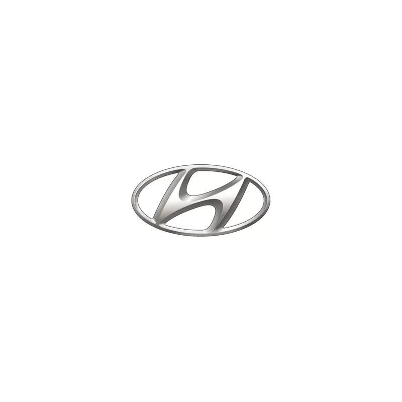 Catalyseurs neufs pour HYUNDAI SANTA FE essence ou diesel