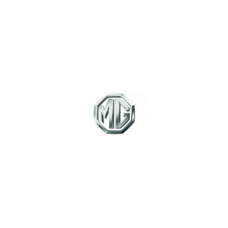 Catalyseurs neufs pour MG essence ou diesel