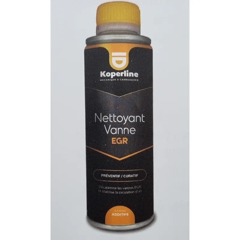 Nettoyant Vanne EGR 300 ml